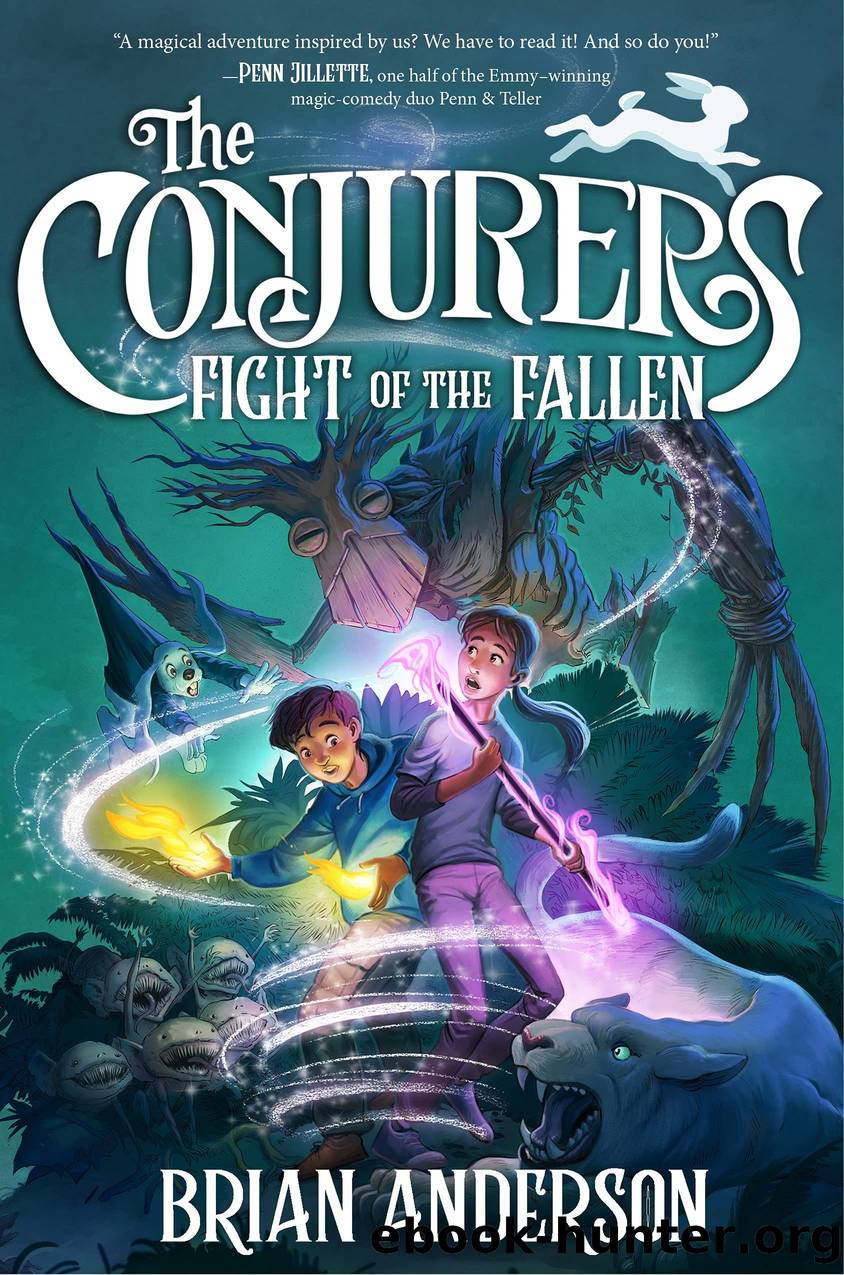Fight of the Fallen by Brian Anderson