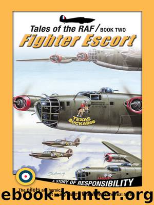 Fighter Escort by Don Patterson