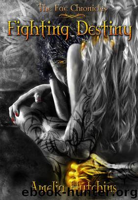 Fighting Destiny by Amelia Hutchins