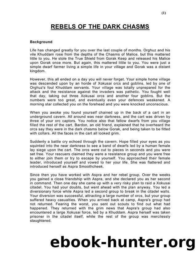 Fighting Fantasy Amateur Rebels of the Dark Chasms by Unknown