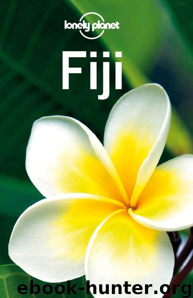Fiji Travel Guide by Lonely Planet