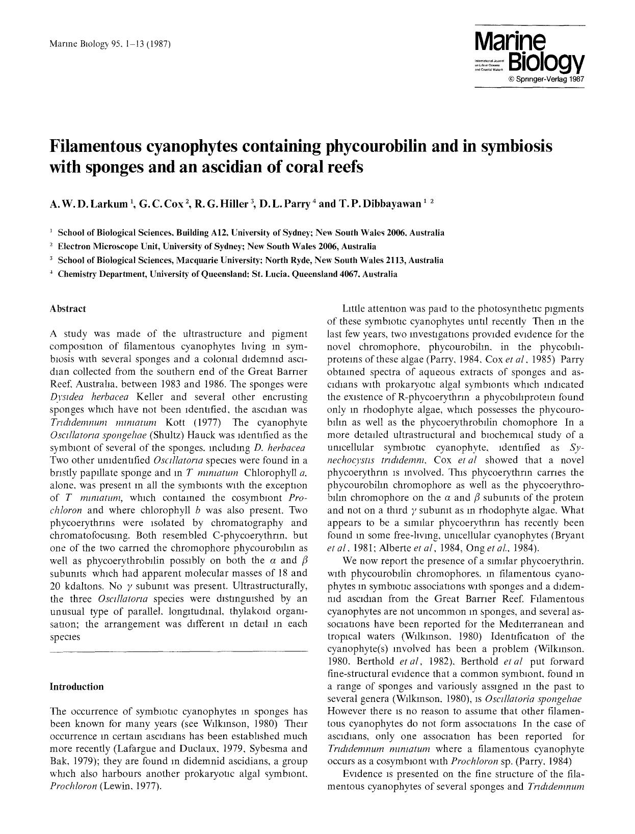 Filamentous cyanophytes containing phycourobilin and in symbiosis with sponges and an ascidian of coral reefs by Unknown
