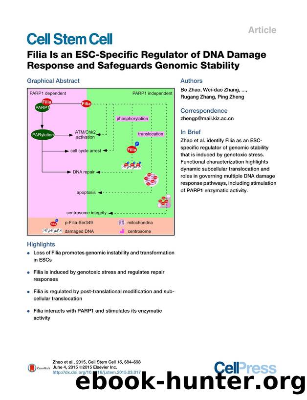 Filia Is an ESC-Specific Regulator of DNA Damage Response and Safeguards Genomic Stability by unknow