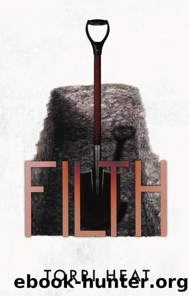 Filth: A Dark Romance Standalone Novella by Heat Torri