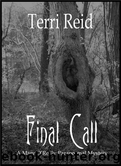 Final Call (A Mary O'Reilly Paranormal Mystery Book 4) by Terri Reid