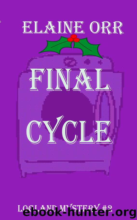 Final Cycle by Elaine L Orr