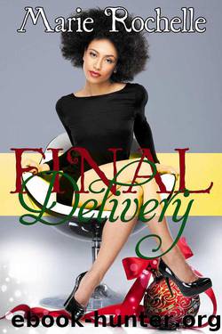 Final Delivery (Special Delivery Book 2) by Rochelle Marie