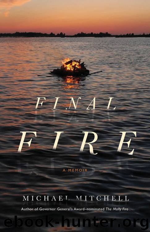 Final Fire by Michael Mitchell