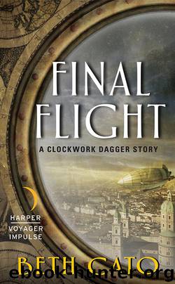 Final Flight by Beth Cato
