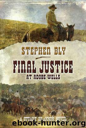 Final Justice at Adobe Wells by Stephen Bly