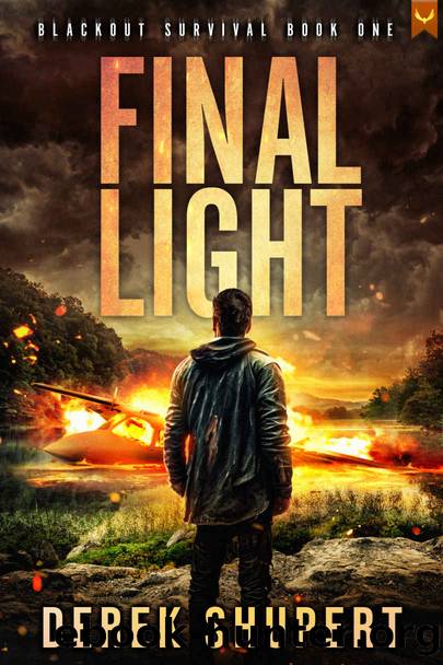 Final Light: A Post-Apocalyptic EMPCME Survival Thriller (Blackout Survival Book 1) by Derek Shupert