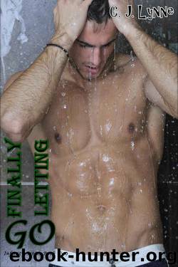Finally Letting Go (Infinity Series Book 2) by C. J. Lynne