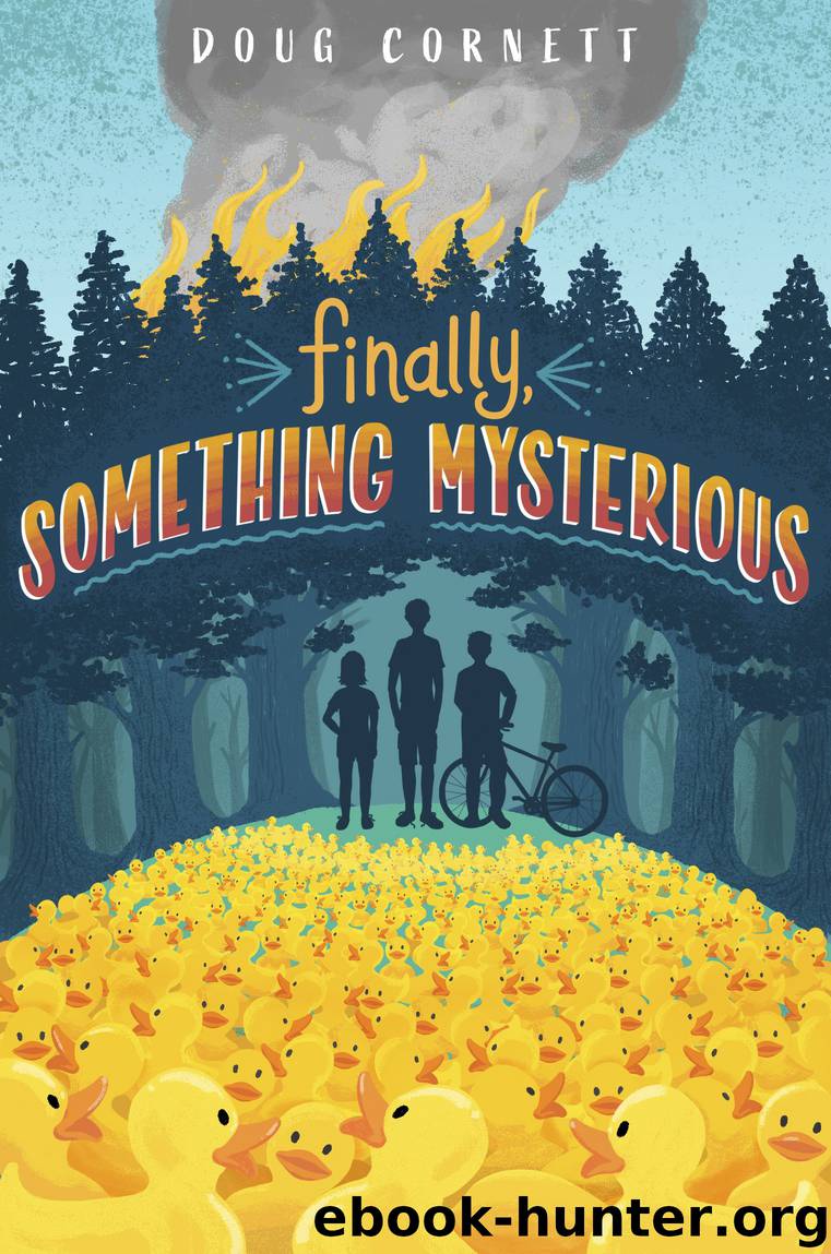 Finally, Something Mysterious by Doug Cornett
