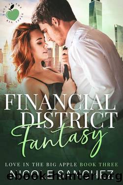Financial District Fantasy: Love in the Big Apple: Book 3 by Nicole Sanchez