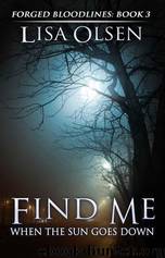 Find Me When the Sun Goes Down by Lisa Olsen