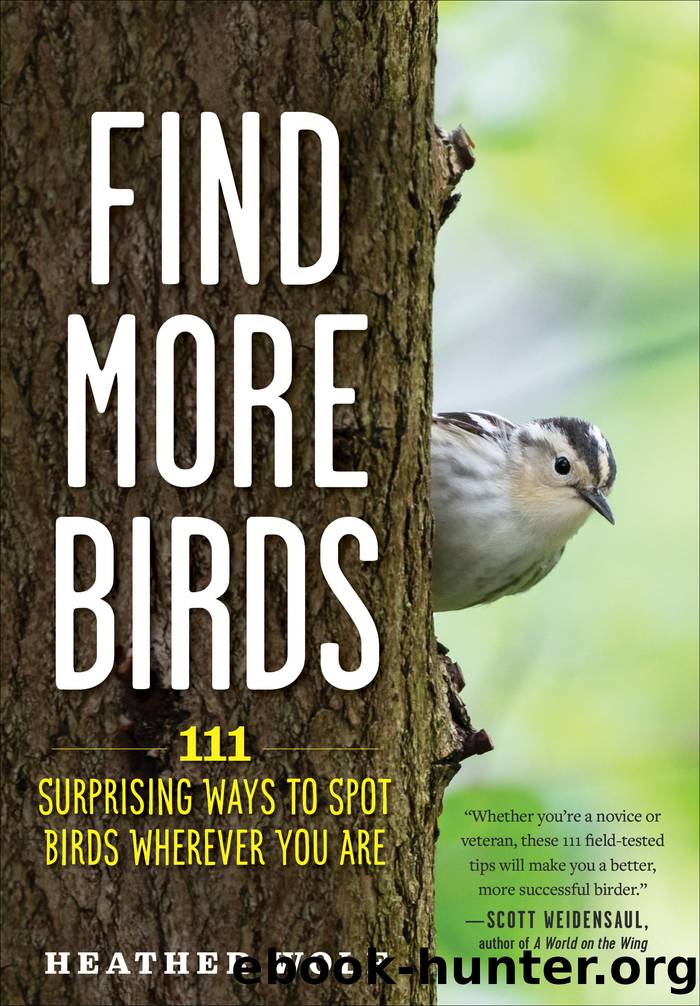 Find More Birds by Heather Wolf