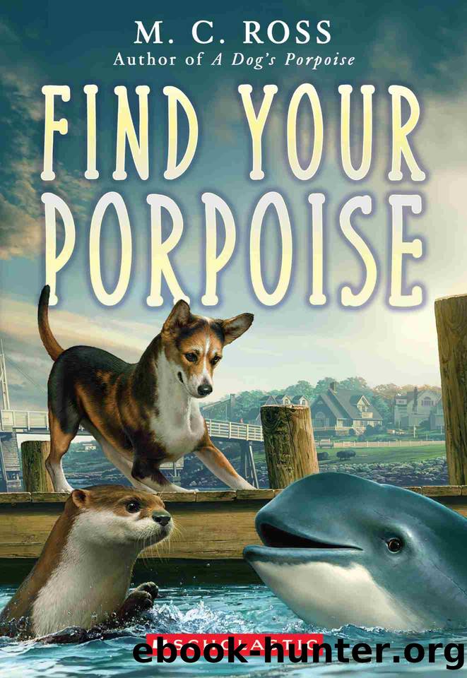 Find Your Porpoise by M. C. Ross