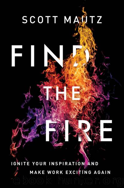 Find the Fire by Scott Mautz