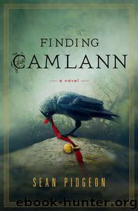 Finding Camlann: A Novel by Sean Pidgeon