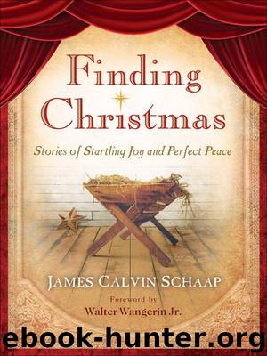 Finding Christmas: Stories of Startling Joy and Perfect Peace by James Calvin Schaap