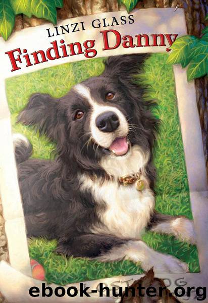 Finding Danny by Linzi Glass