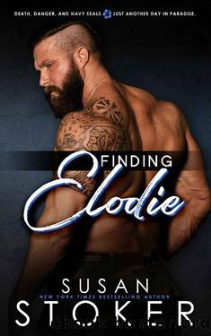 Finding Elodie (SEAL Team Hawaii Book 1) by Susan Stoker