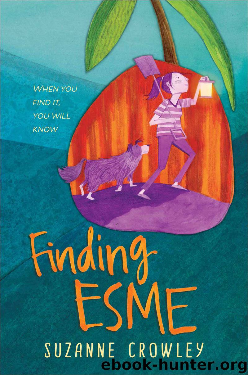 Finding Esme by Suzanne Crowley