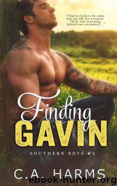 Finding Gavin (Southern Boys #2) by C.A. Harms