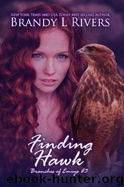 Finding Hawk (Branches of Emrys Book 3) by Brandy L Rivers