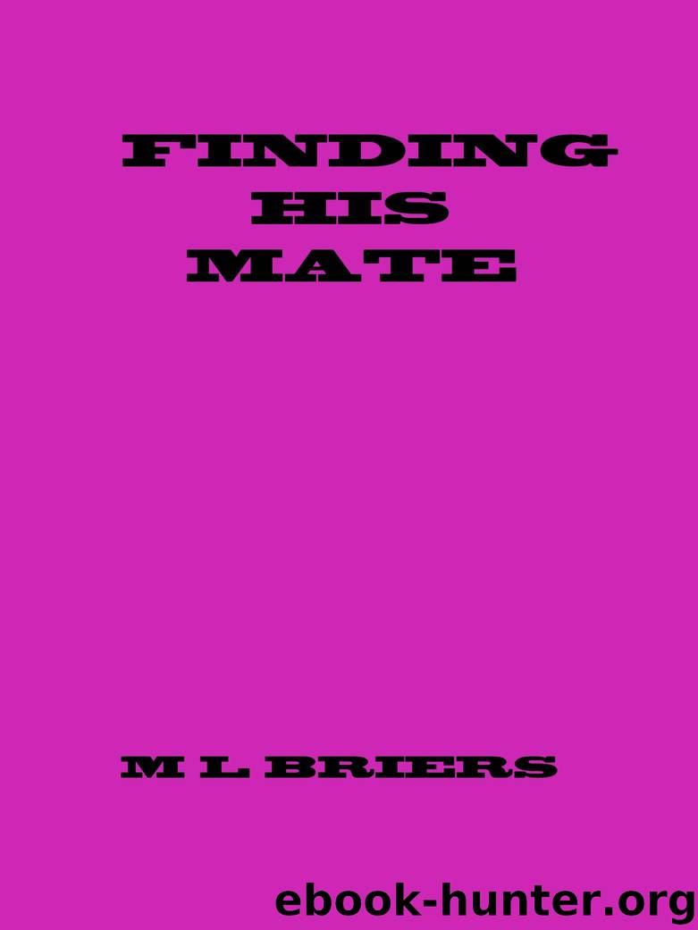 Finding His Mate by M. L. Briers