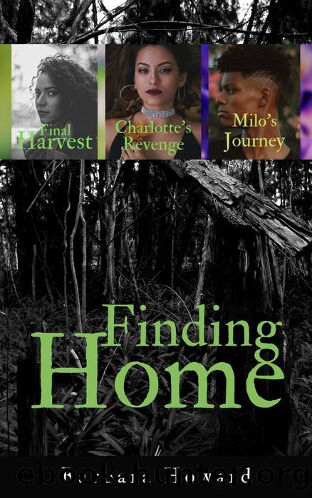 Finding Home Mystery Series by Barbara Howard