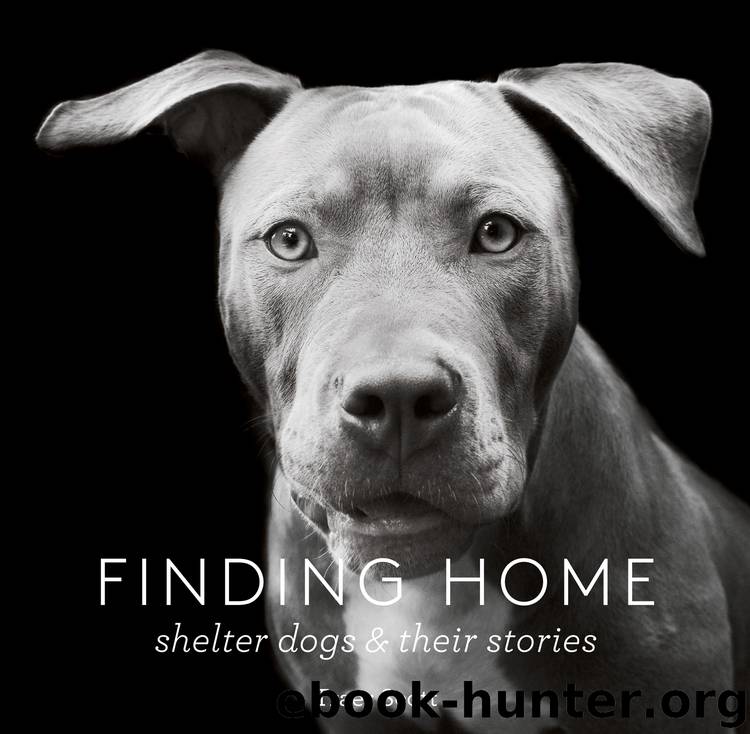 Finding Home by Traer Scott