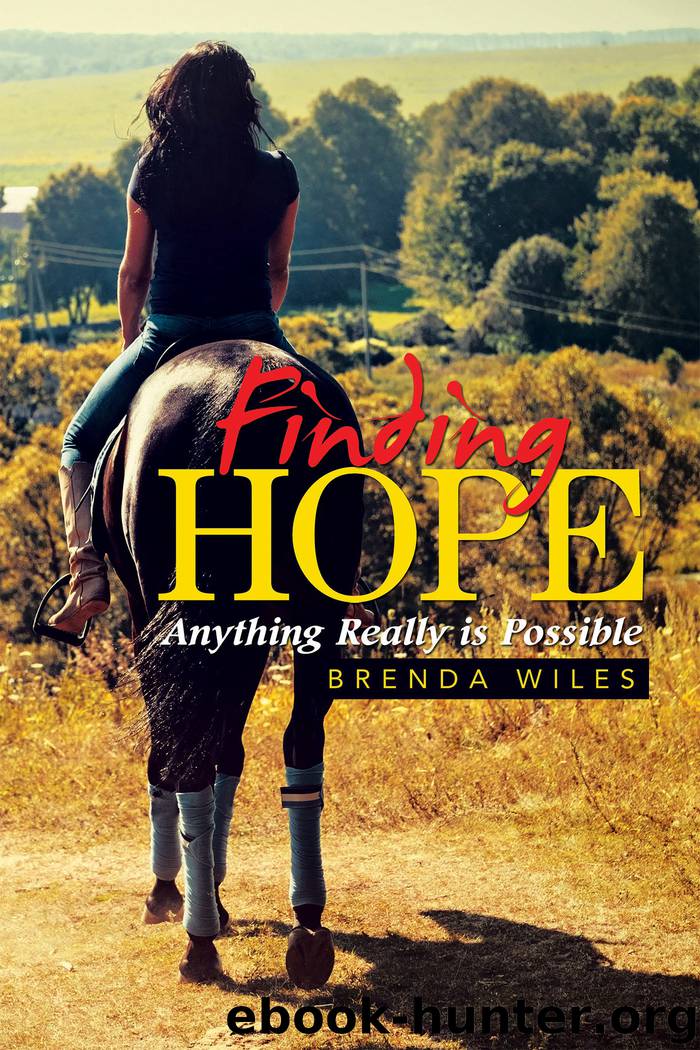 Finding Hope by brenda wiles
