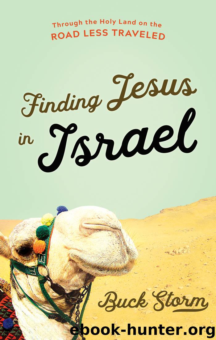 Finding Jesus in Israel by Buck Storm