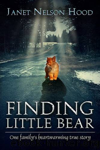 Finding Little Bear by Janet Nelson Hood