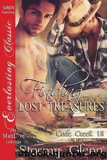 Finding Lost Treasures by Stormy Glenn