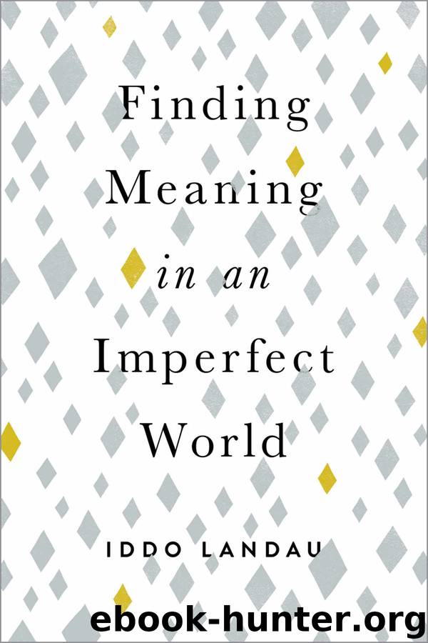 Finding Meaning in an Imperfect World by Iddo Landau