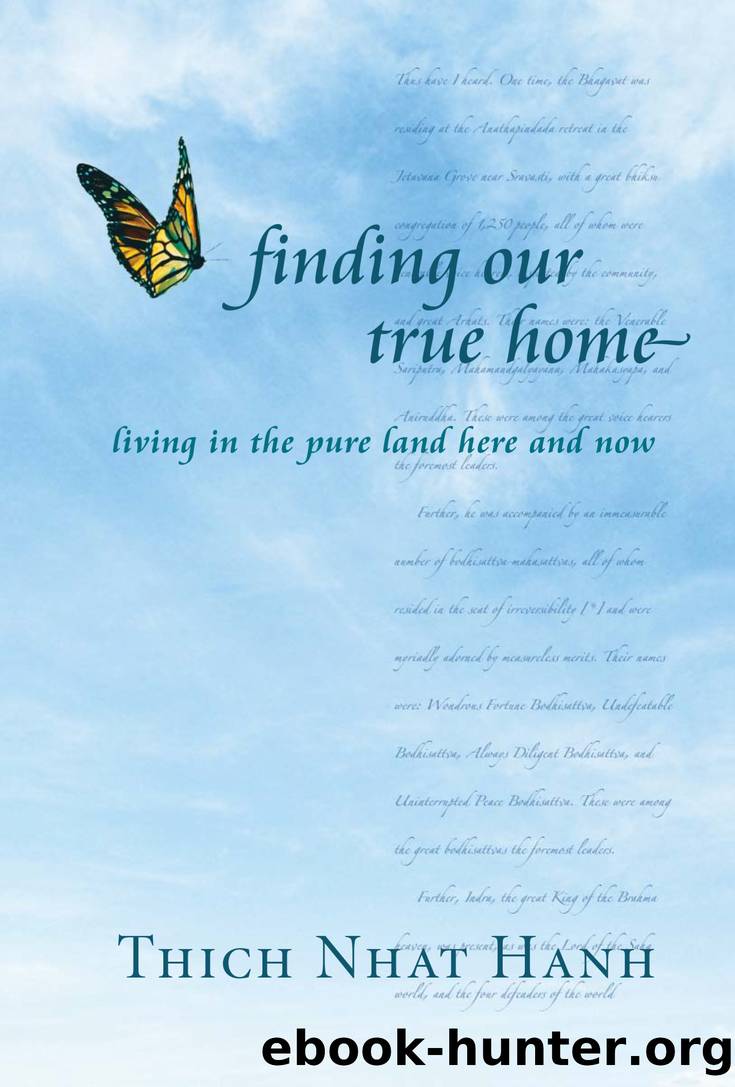 Finding Our True Home by Thich Nhat Hanh