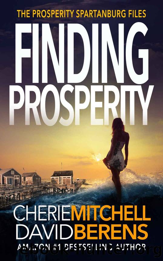 Finding Prosperity by Cherie Mitchell & David F. Berens