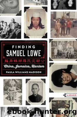 Finding Samuel Lowe by Paula Williams Madison