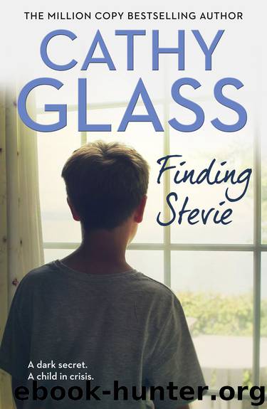 Finding Stevie by Cathy Glass