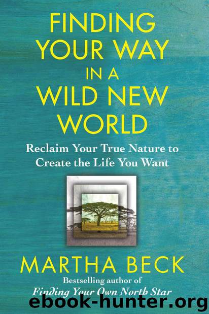 Finding Your Way in a Wild New World by Beck Martha
