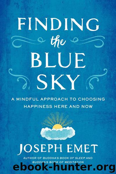 Finding the Blue Sky by Joseph Emet