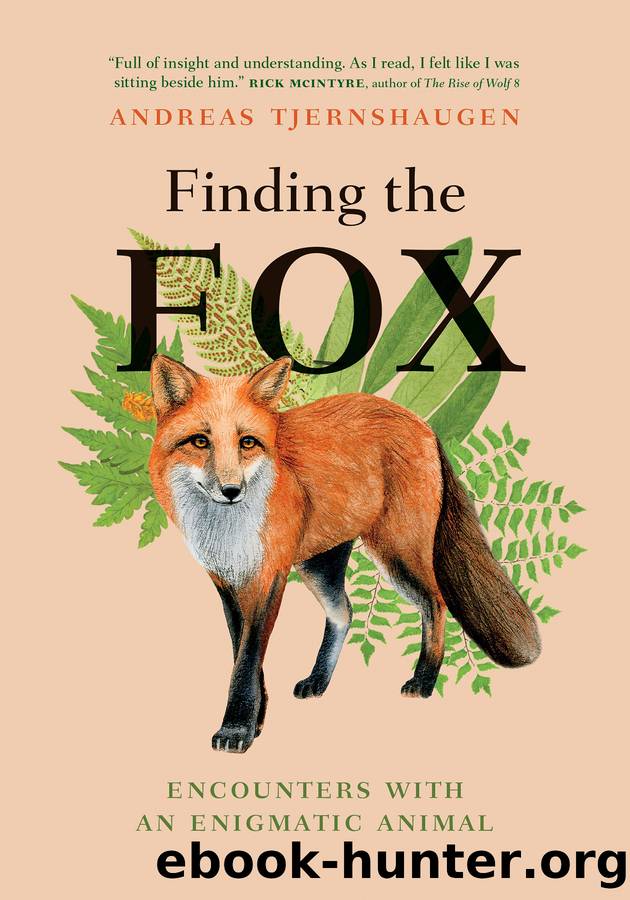 Finding the Fox by Andreas Tjernshaugen