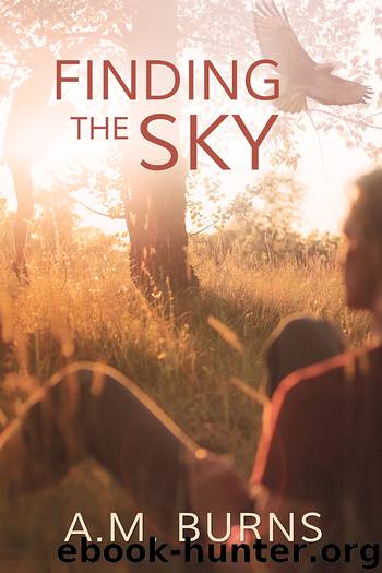 Finding the Sky by A.M. Burns