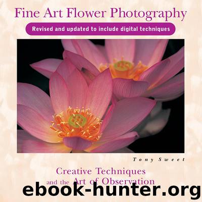 Fine Art Flower Photography by Tony Sweet