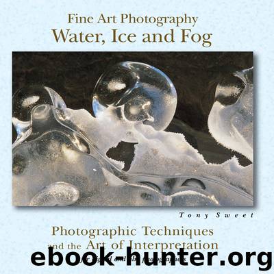Fine Art Photography Water, Ice & Fog: Photographic Techniques and the Art of Interpretation by Sweet Tony