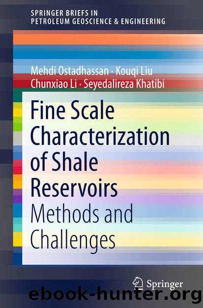 Fine Scale Characterization of Shale Reservoirs by Mehdi Ostadhassan Kouqi Liu Chunxiao Li & Seyedalireza Khatibi
