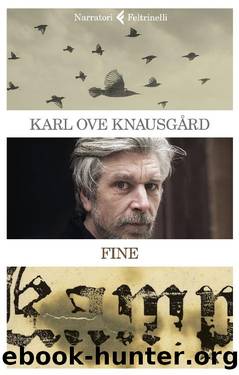 Fine by Karl Ove Knausgård