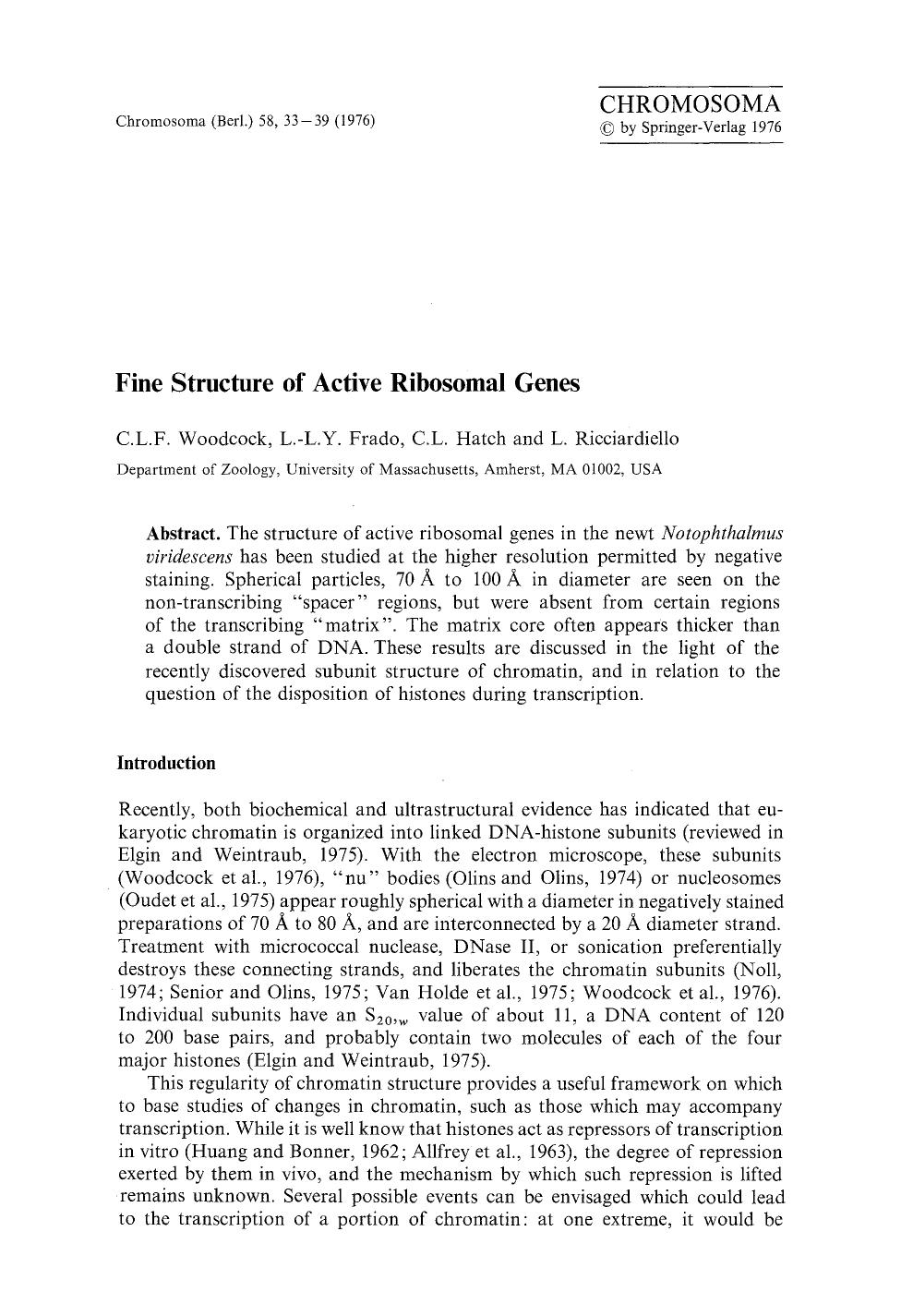 Fine structure of active ribosomal genes by Unknown